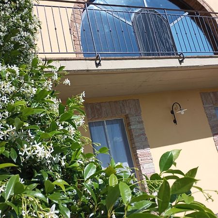 Sunset Hill - Tuscany - Villa & Private Pool Кастельфйорентіно Екстер'єр фото