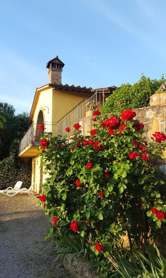 Sunset Hill - Tuscany - Villa & Private Pool Кастельфйорентіно Екстер'єр фото