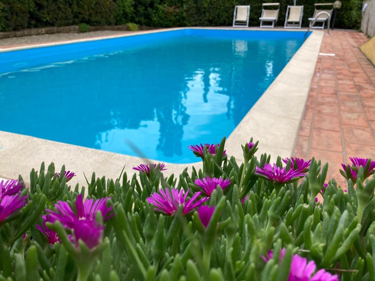 Sunset Hill - Tuscany - Villa & Private Pool Кастельфйорентіно Екстер'єр фото